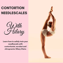 Load image into Gallery viewer, 8 Hour Home Workout Lesson Plan
